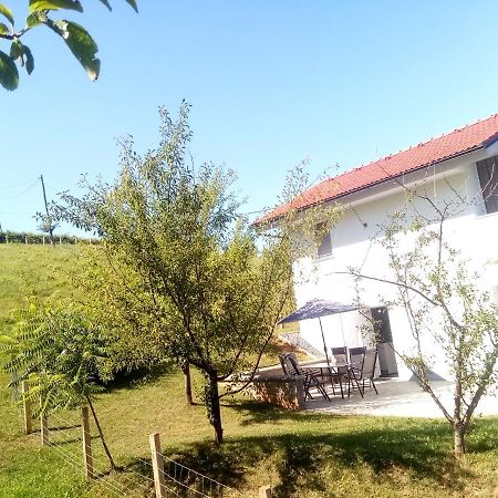 Villa Grajsko à Metlika Extérieur photo