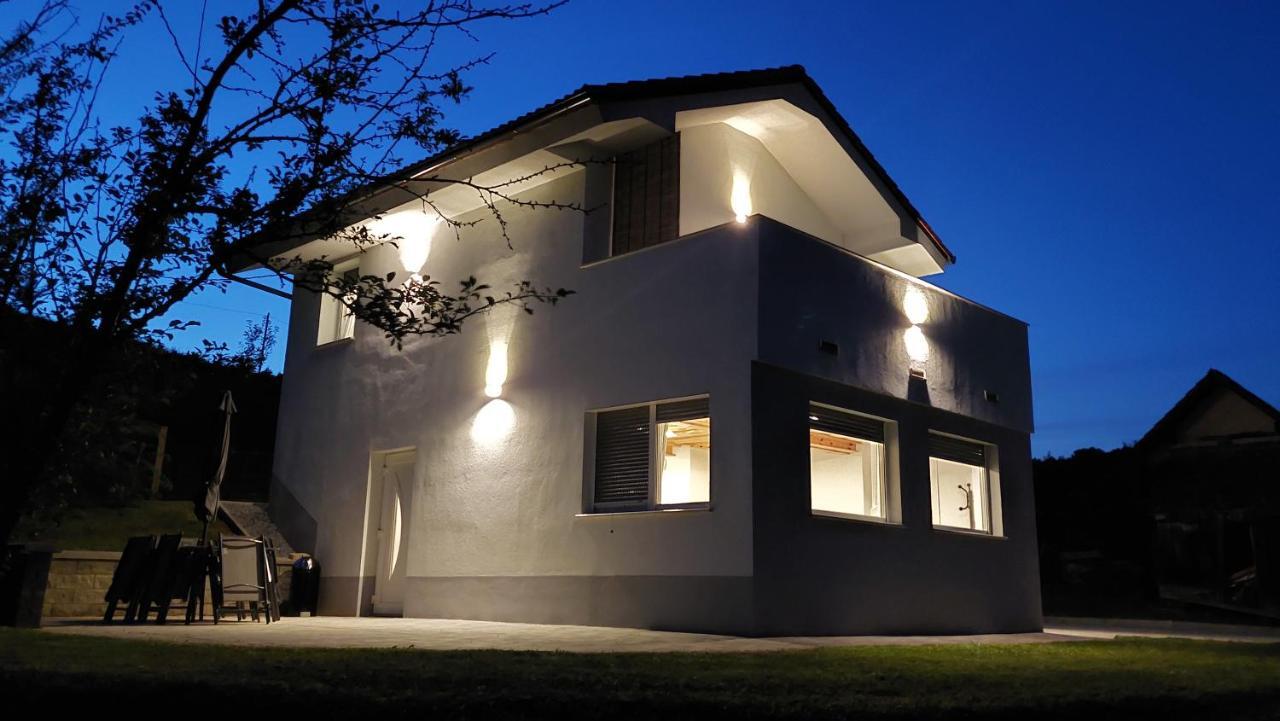 Villa Grajsko à Metlika Extérieur photo