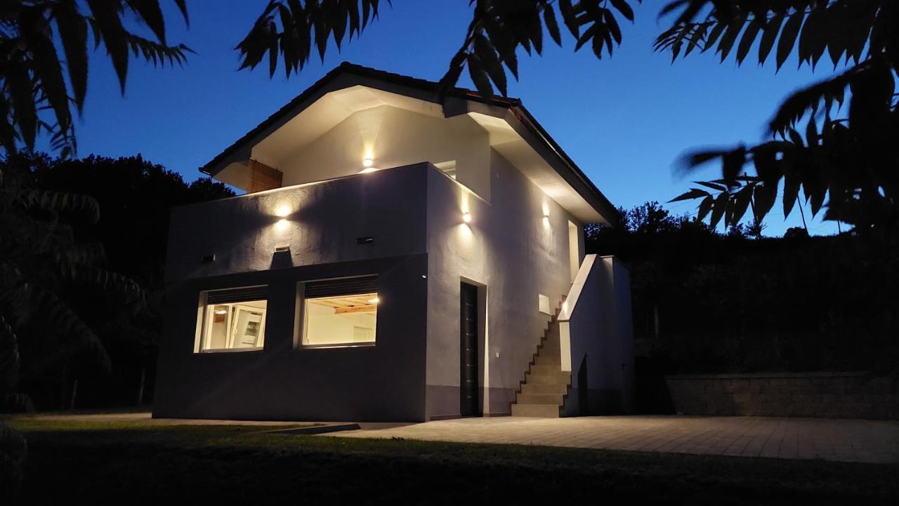 Villa Grajsko à Metlika Extérieur photo